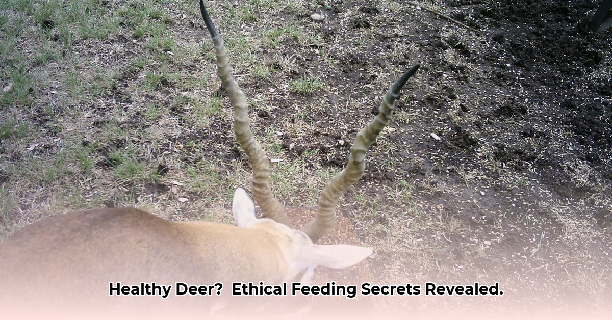 deer-blocks-at-tractor-supply